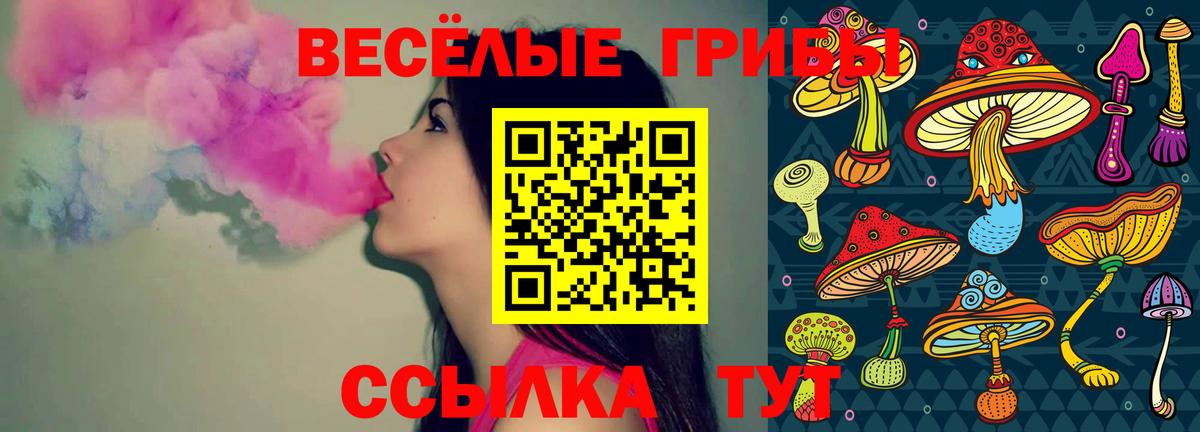 Псилоцибиновые грибы Psilocybine cubensis  Вход с VPN  Еманжелинск 