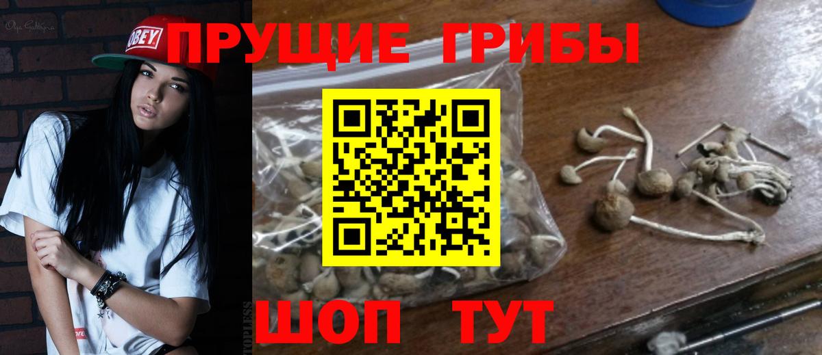 Псилоцибиновые грибы мицелий Еманжелинск